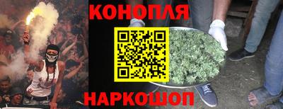 спайс Малгобек